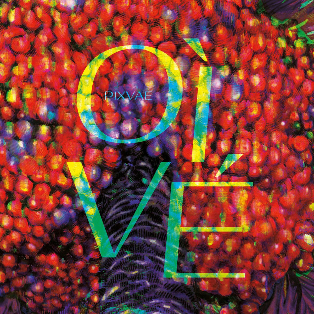 Pixvae – Oi Ve vinyl record cover