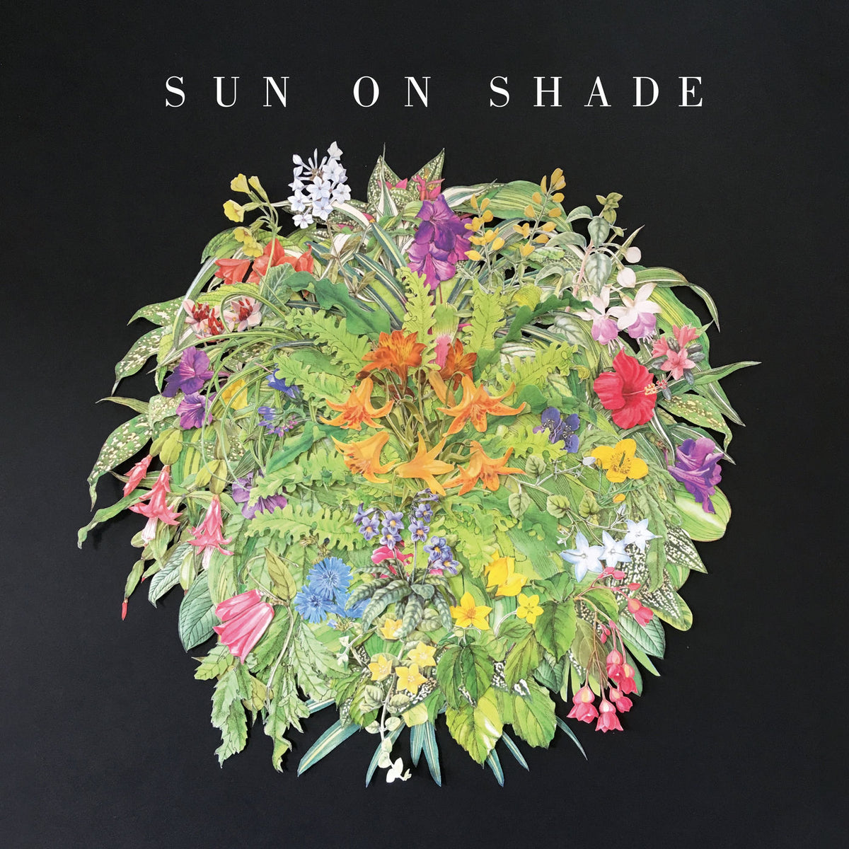 Sun On Shade – Sun On Shade vinyl record cover