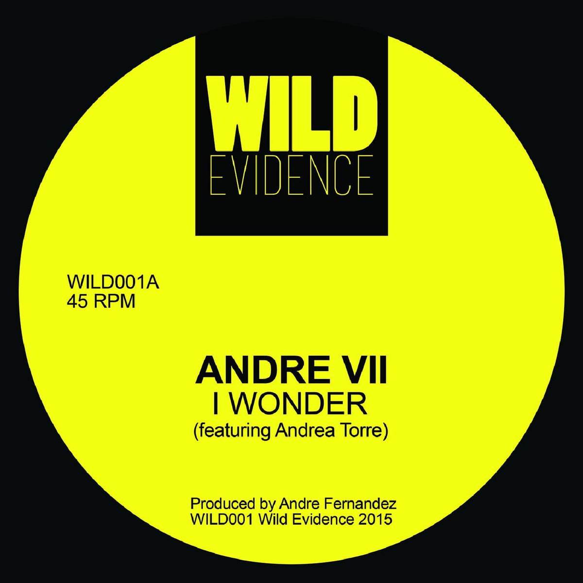 Andre VII – I Wonder vinyl cover