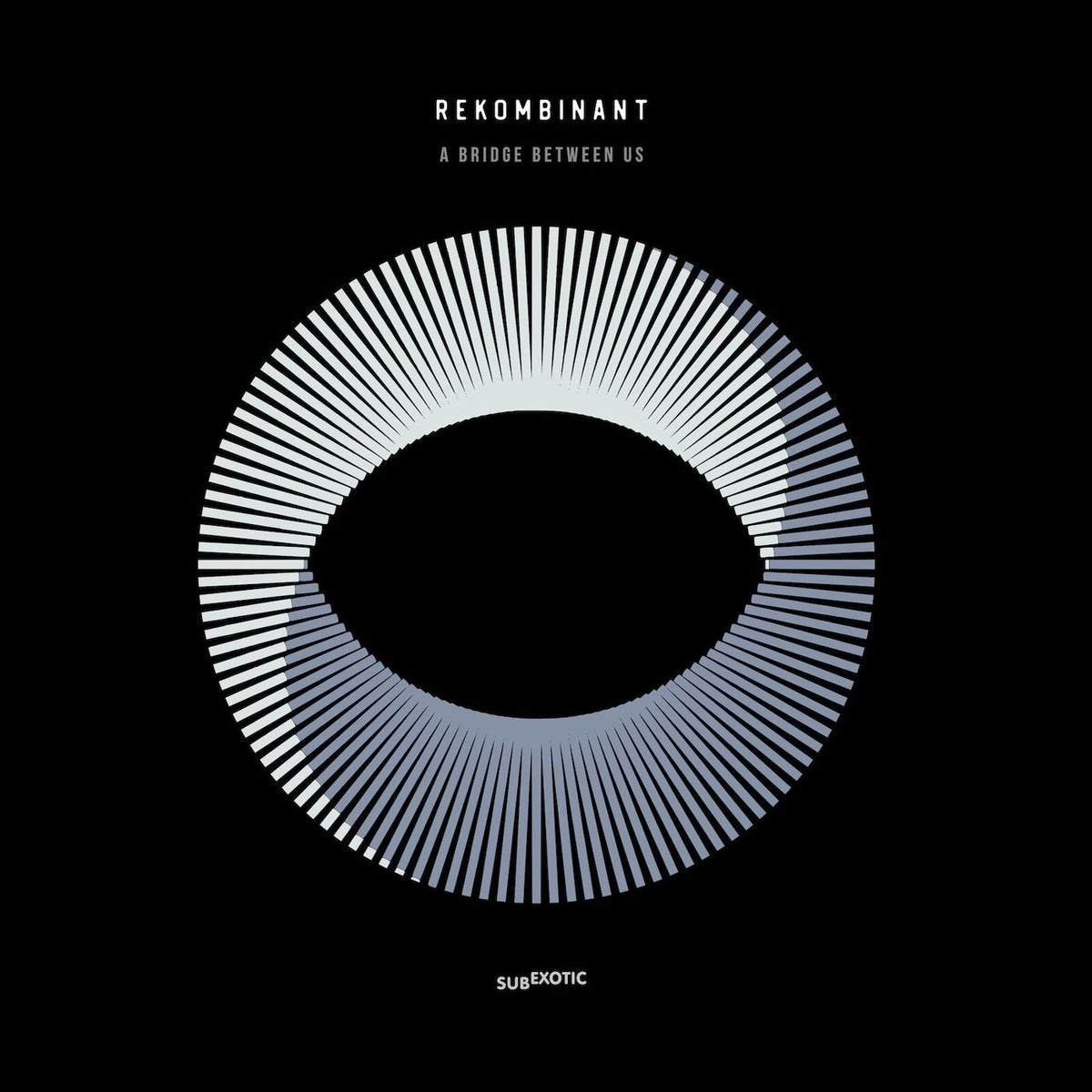 Rekombinant – A Bridge Between Us vinyl record cover