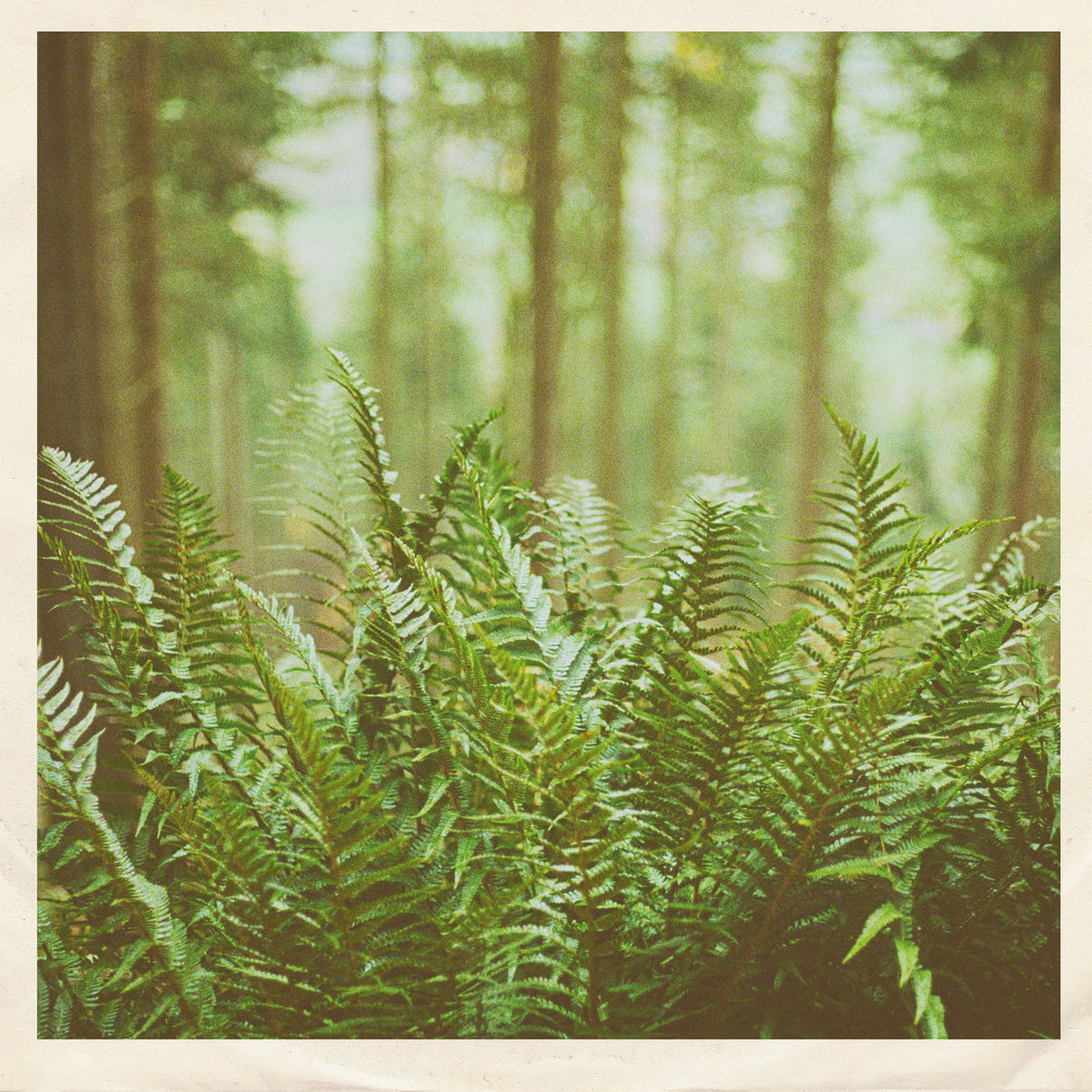 mtbrd – Just Visiting vinyl cover