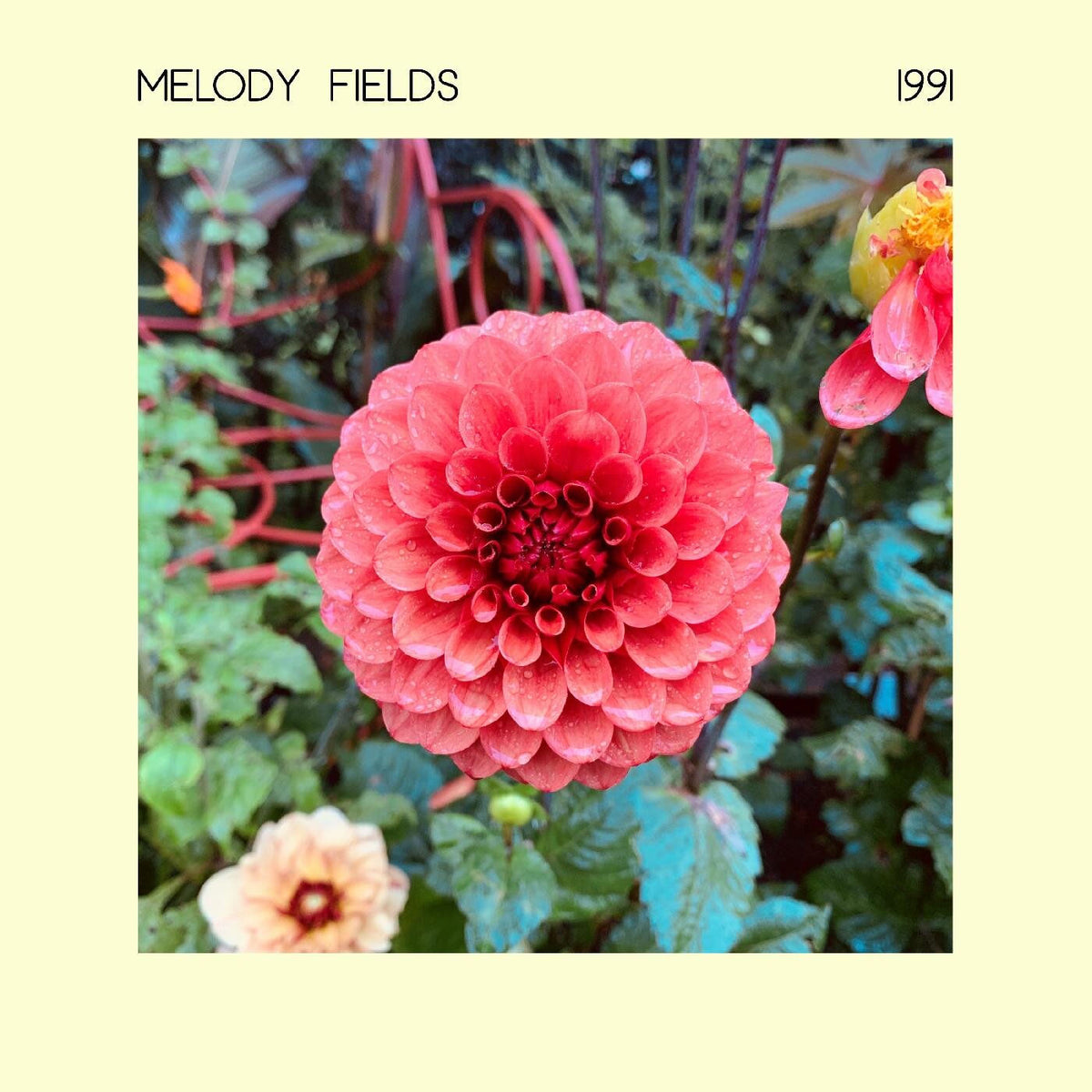 Melody Fields – 1991 vinyl record cover