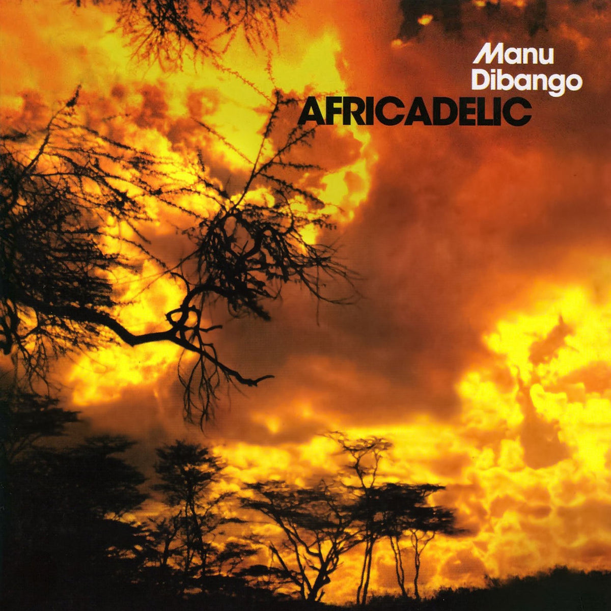 Manu Dibango – Africadelic vinyl cover