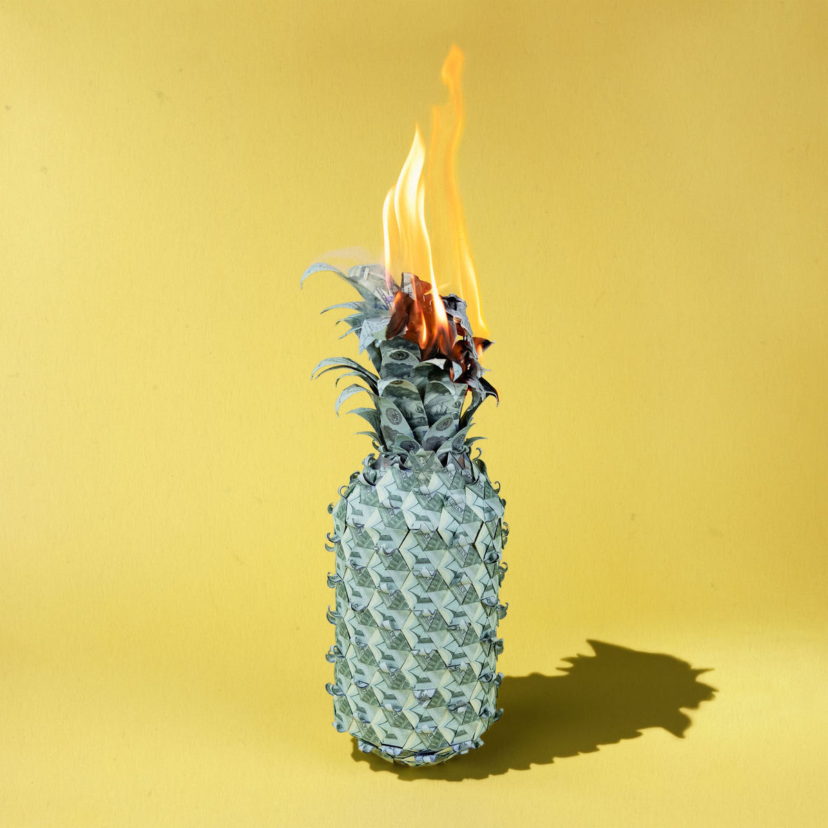 The Happy Fits – Under the Shade of Green vinyl record cover