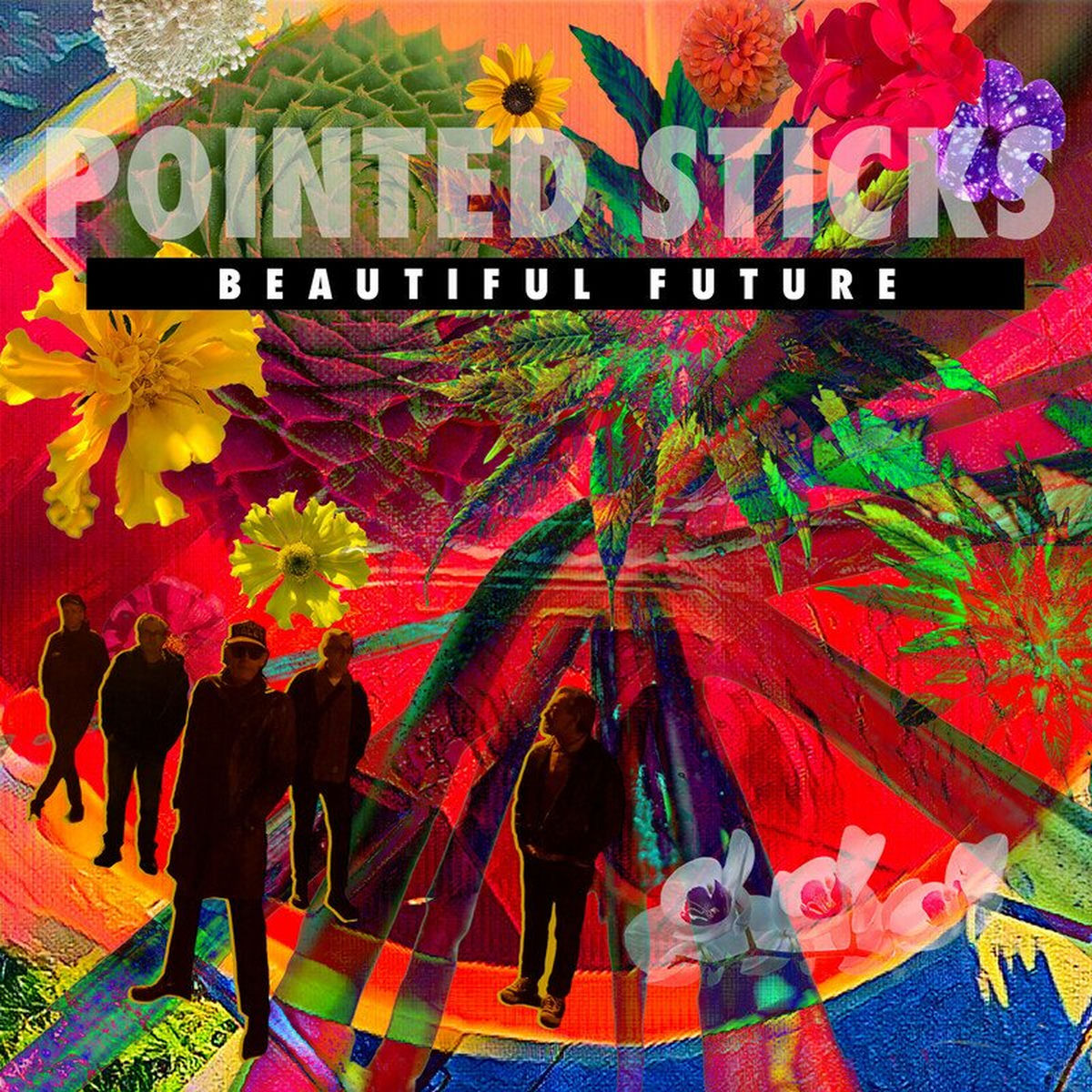 Pointed Sticks – Beautiful Future vinyl record cover