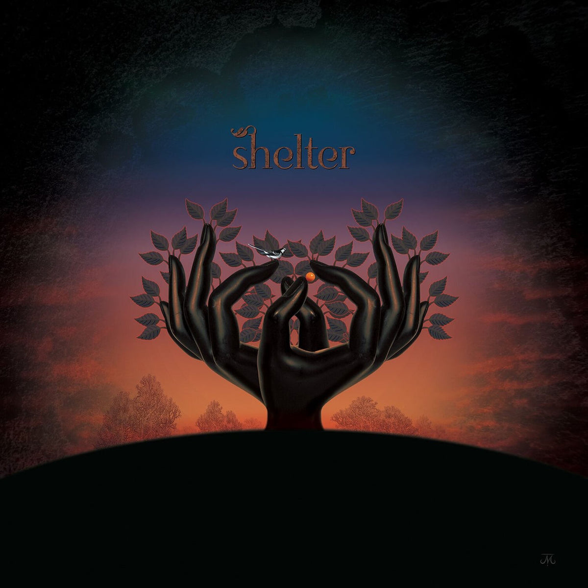 Laughing Stock – Shelter vinyl record cover