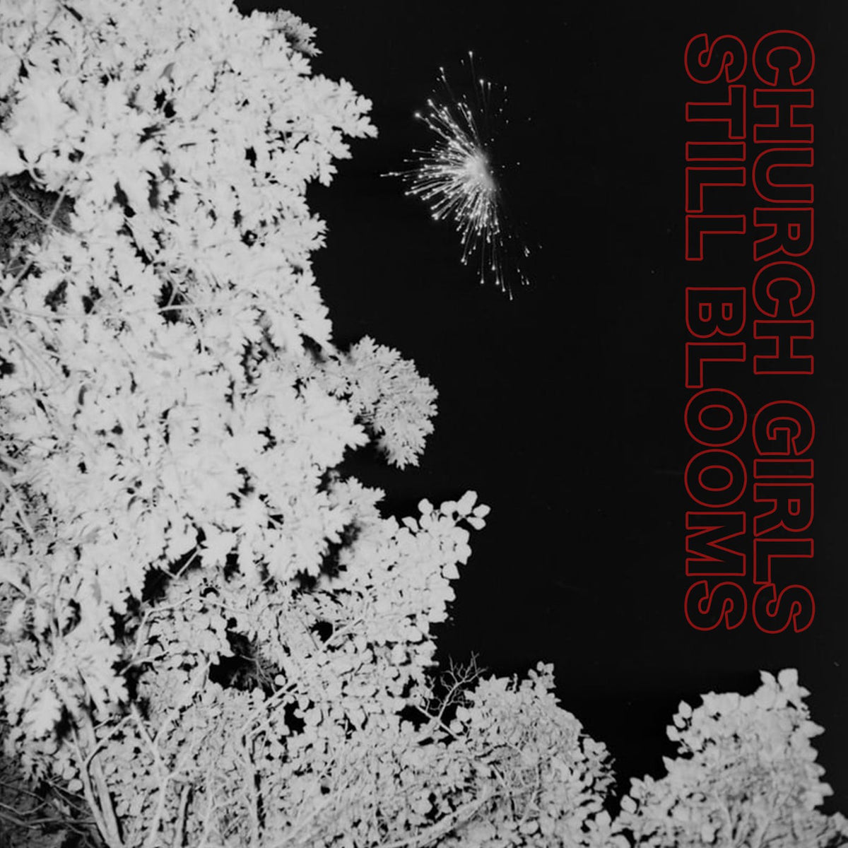 Church Girls – Still Blooms vinyl record cover