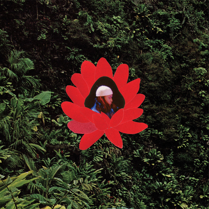 Lionmilk – When The Flowers Bloom vinyl record cover