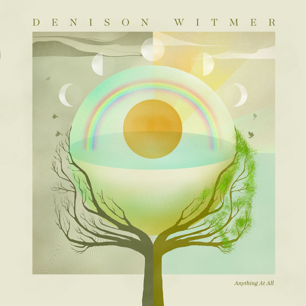 Denison Witmer – Anything at All vinyl record cover