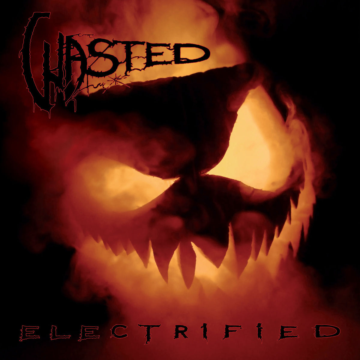 Wasted – Electrified vinyl record cover