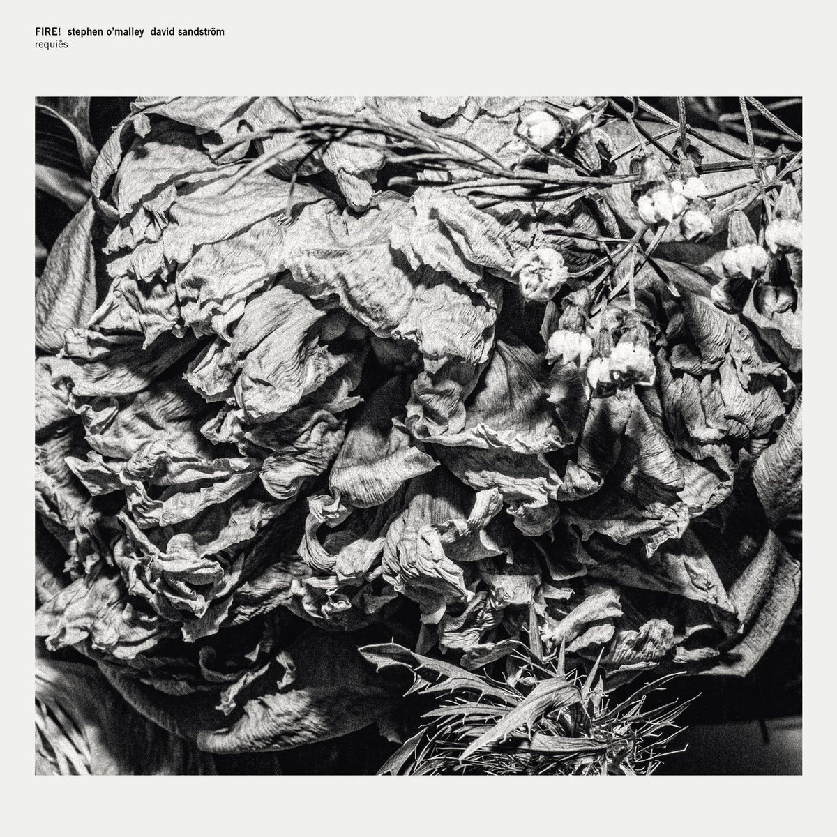 Fire! – Requies vinyl cover
