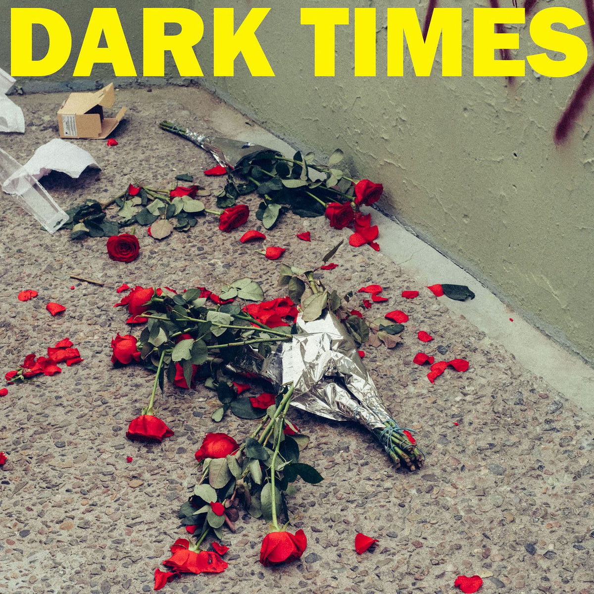 Dark Times – Dirt vinyl cover