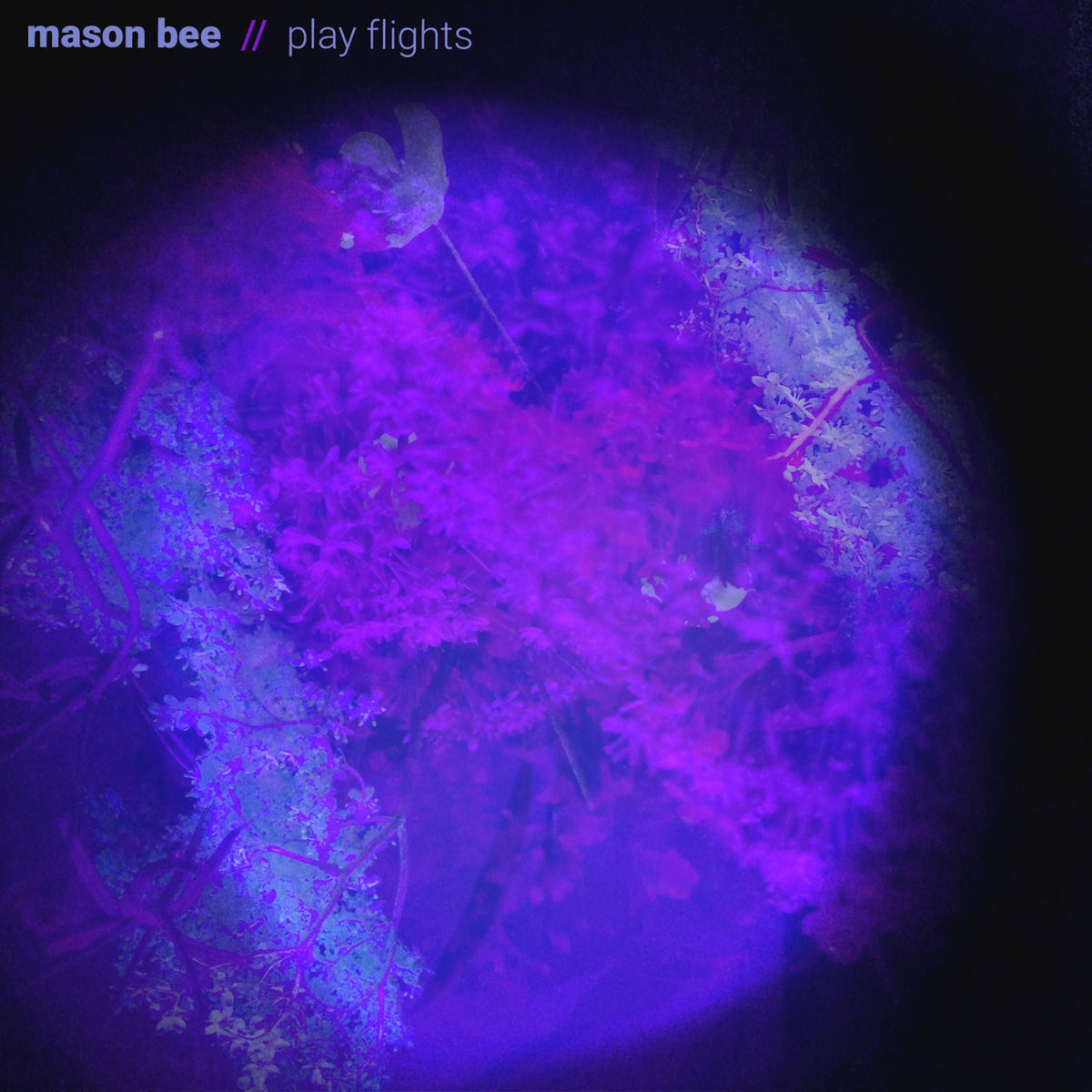 Mason Bee – Play Flights vinyl record cover