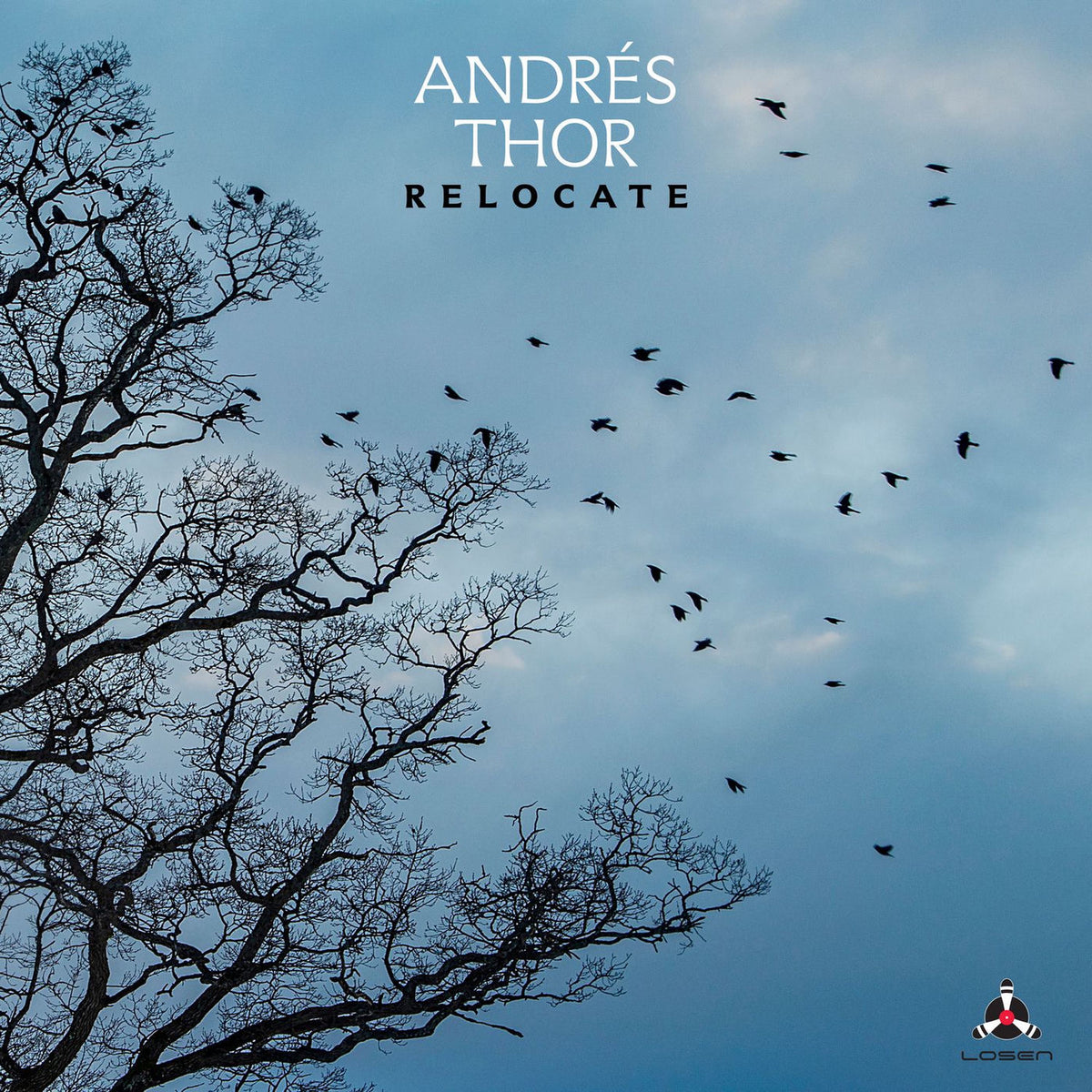 Andrés Thor – Relocate vinyl record cover