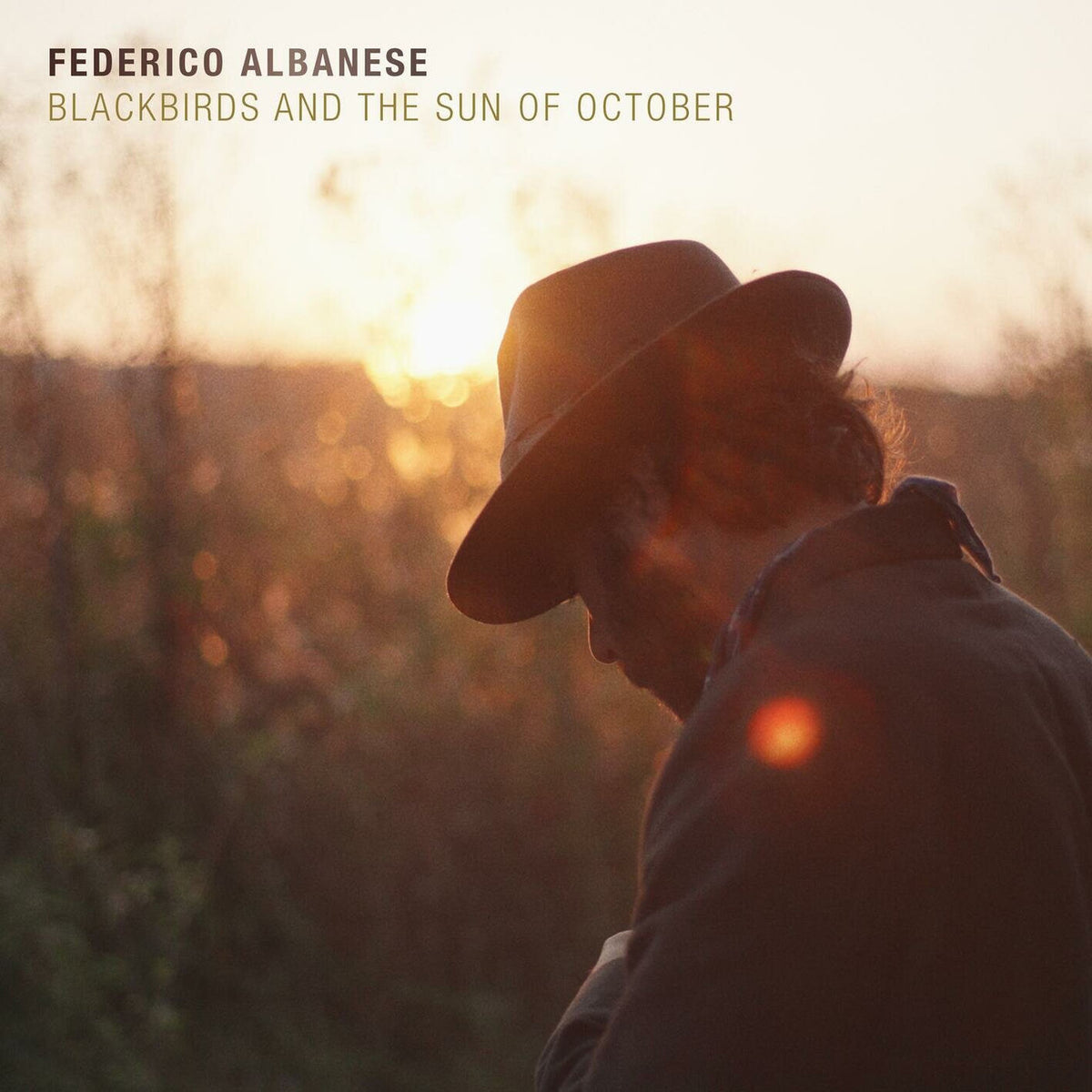 Federico Albanese – Blackbirds And The Sun Of October vinyl record cover