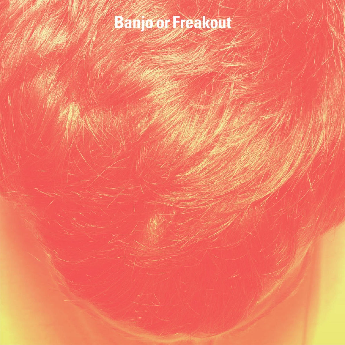 Banjo Or Freakout – Banjo Or Freakout vinyl record cover