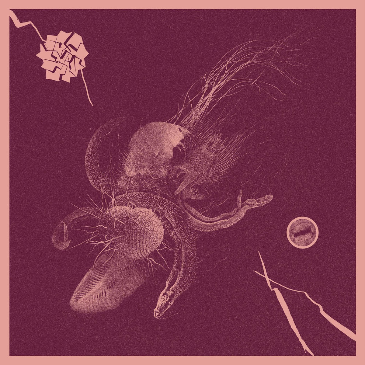 Aaron Turner – Now That You've Found It vinyl cover