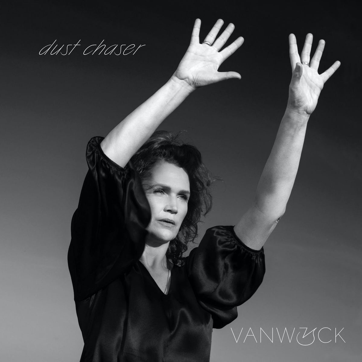Vanwyck – Dustchaser vinyl record cover
