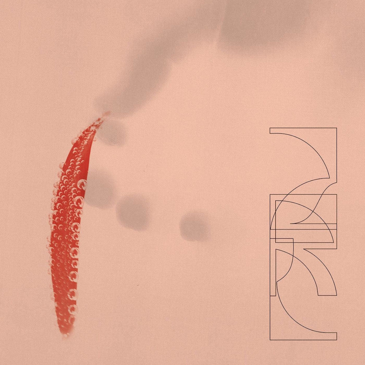 ZRL – Our Savings [LP] vinyl record cover