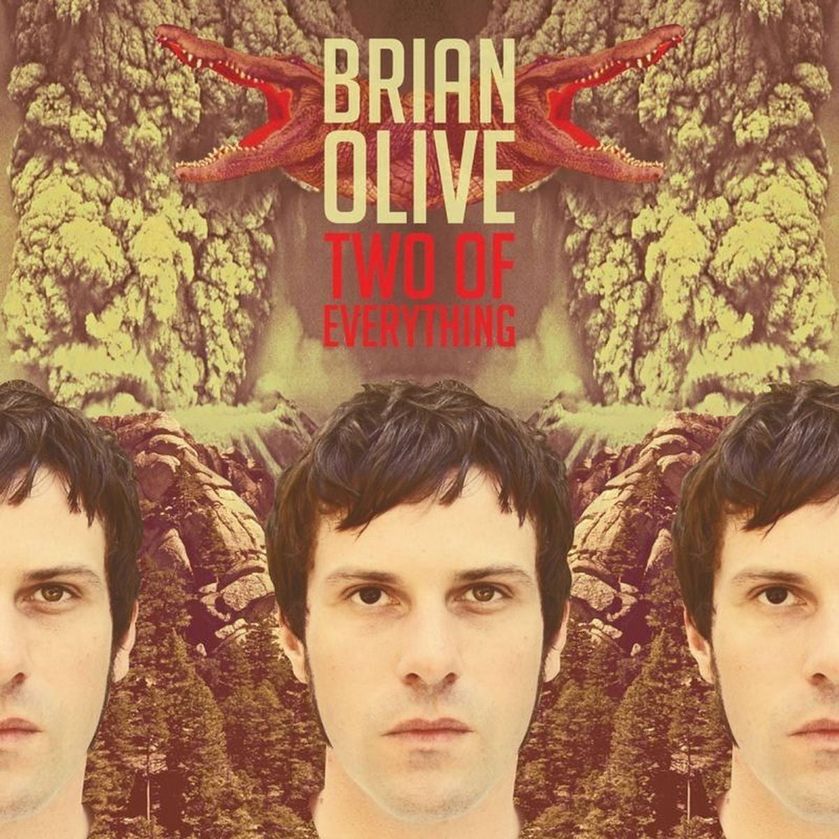 Brian Olive – Two Of Everything vinyl cover