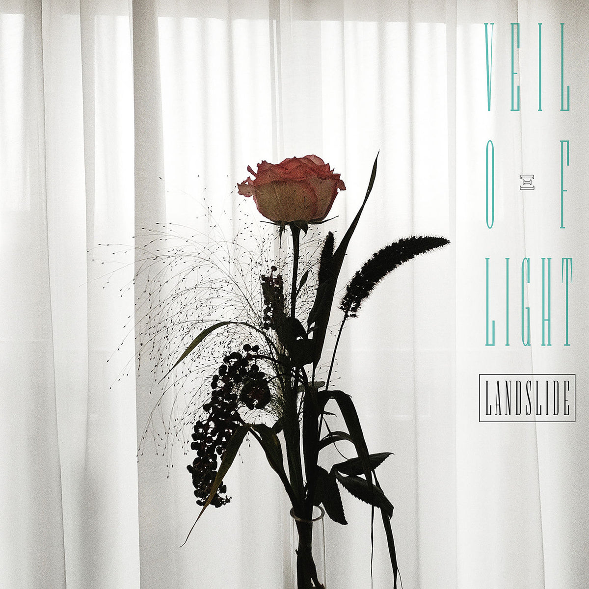 Veil Of Light – Landslide vinyl record cover