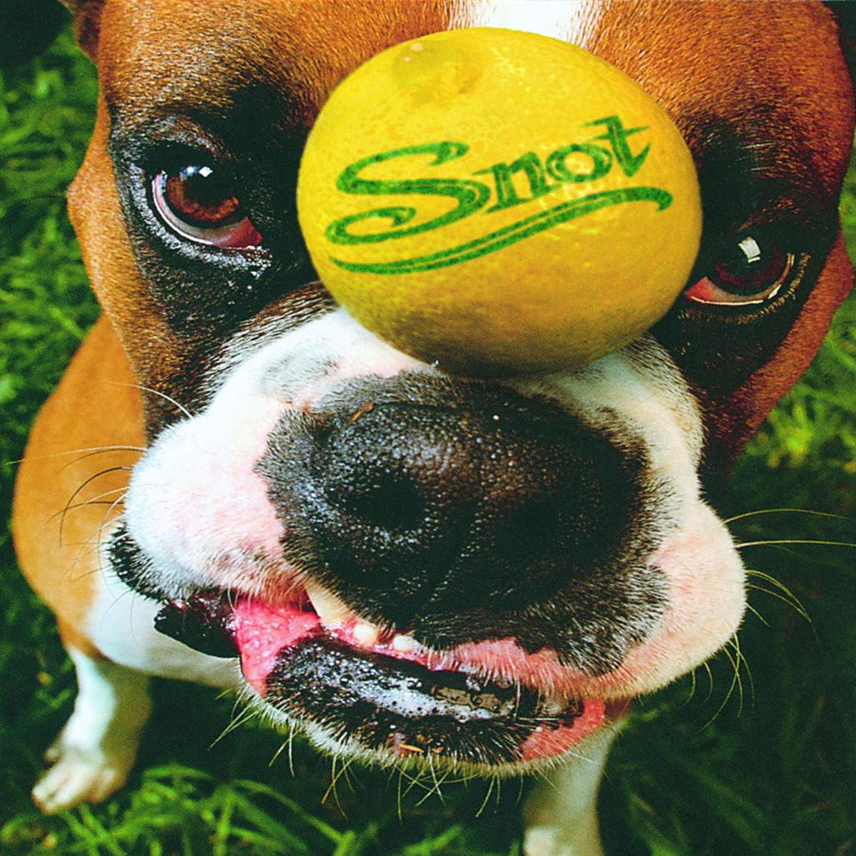 Snot – Get Some vinyl record cover