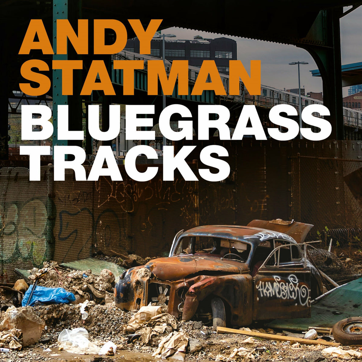 Andy Statman – Bluegrass Tracks vinyl record cover