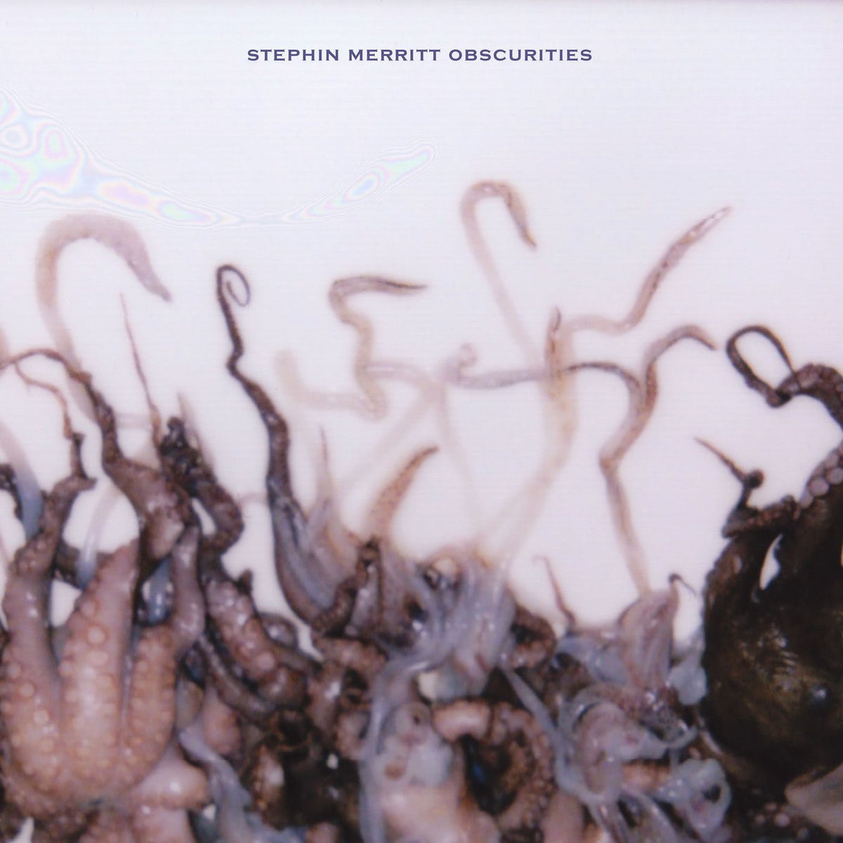 Stephin Merritt – Obscurities vinyl cover