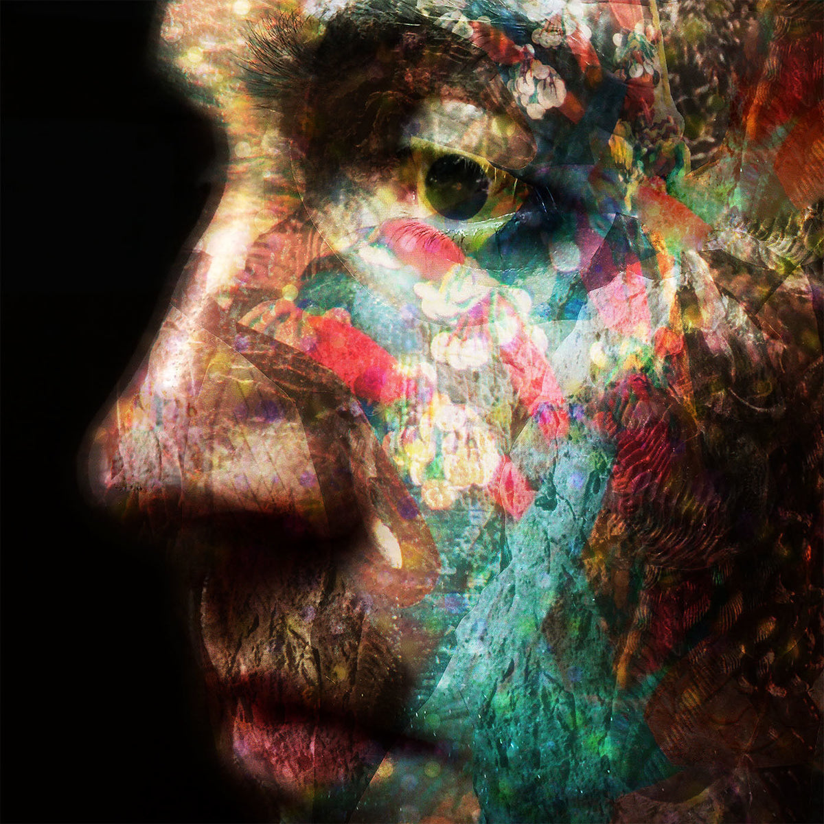 Daniel O'Sullivan – VELD vinyl cover