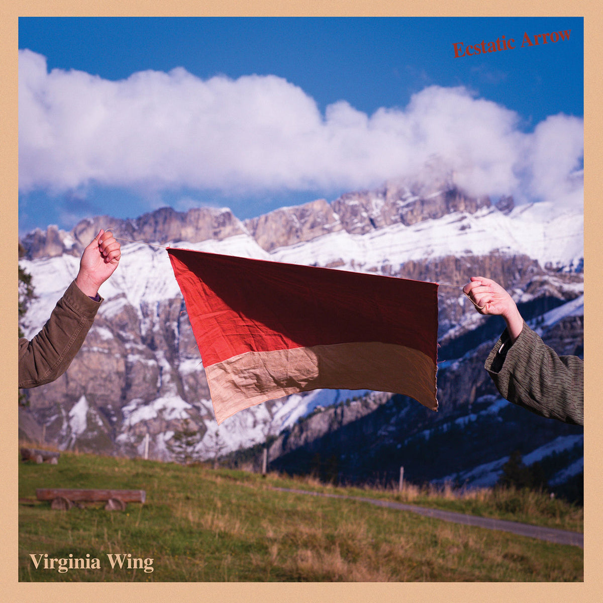 Virginia Wing – Ecstatic Arrow (Coloured Vinyl) vinyl record cover