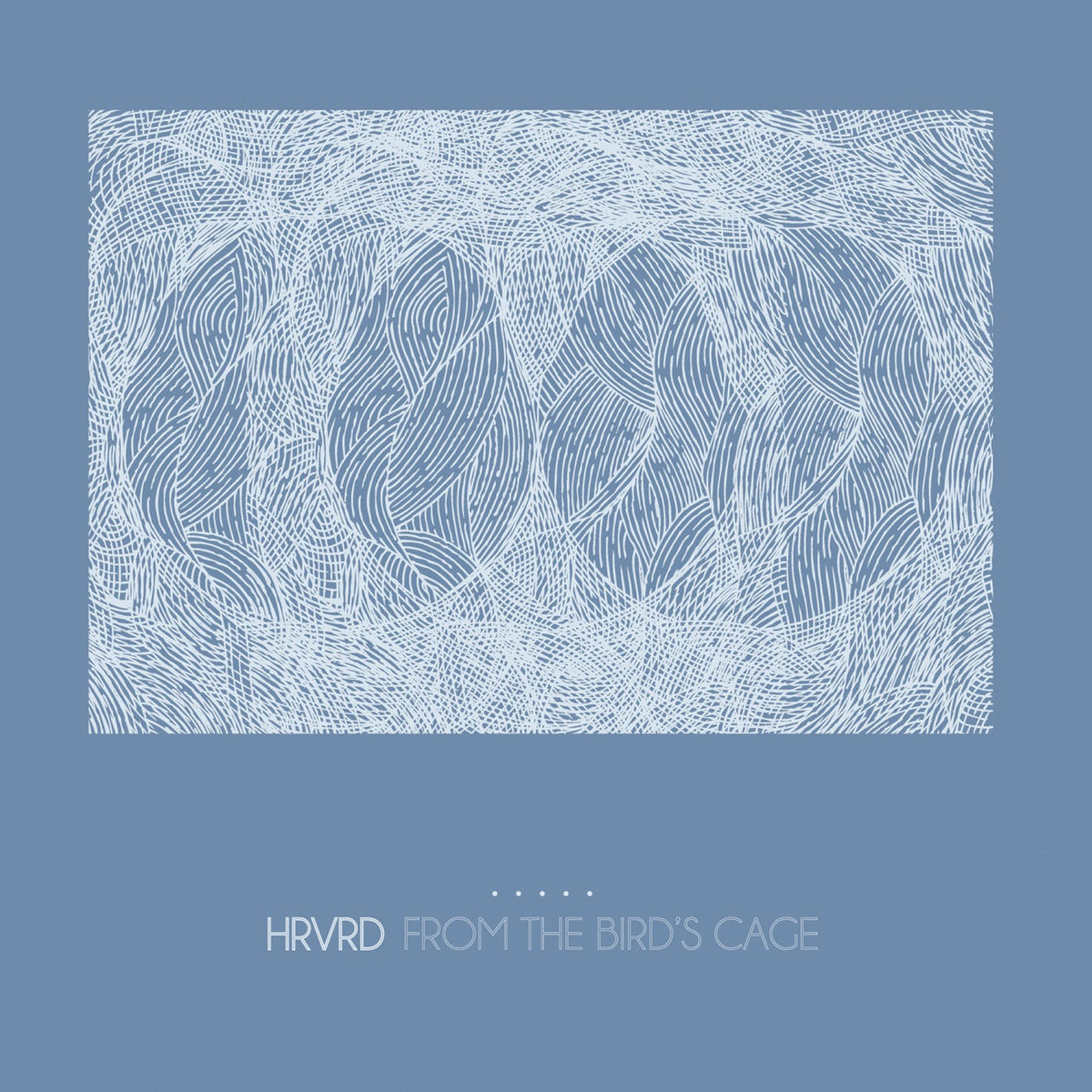 Hrvrd – From the Bird's Cage vinyl cover