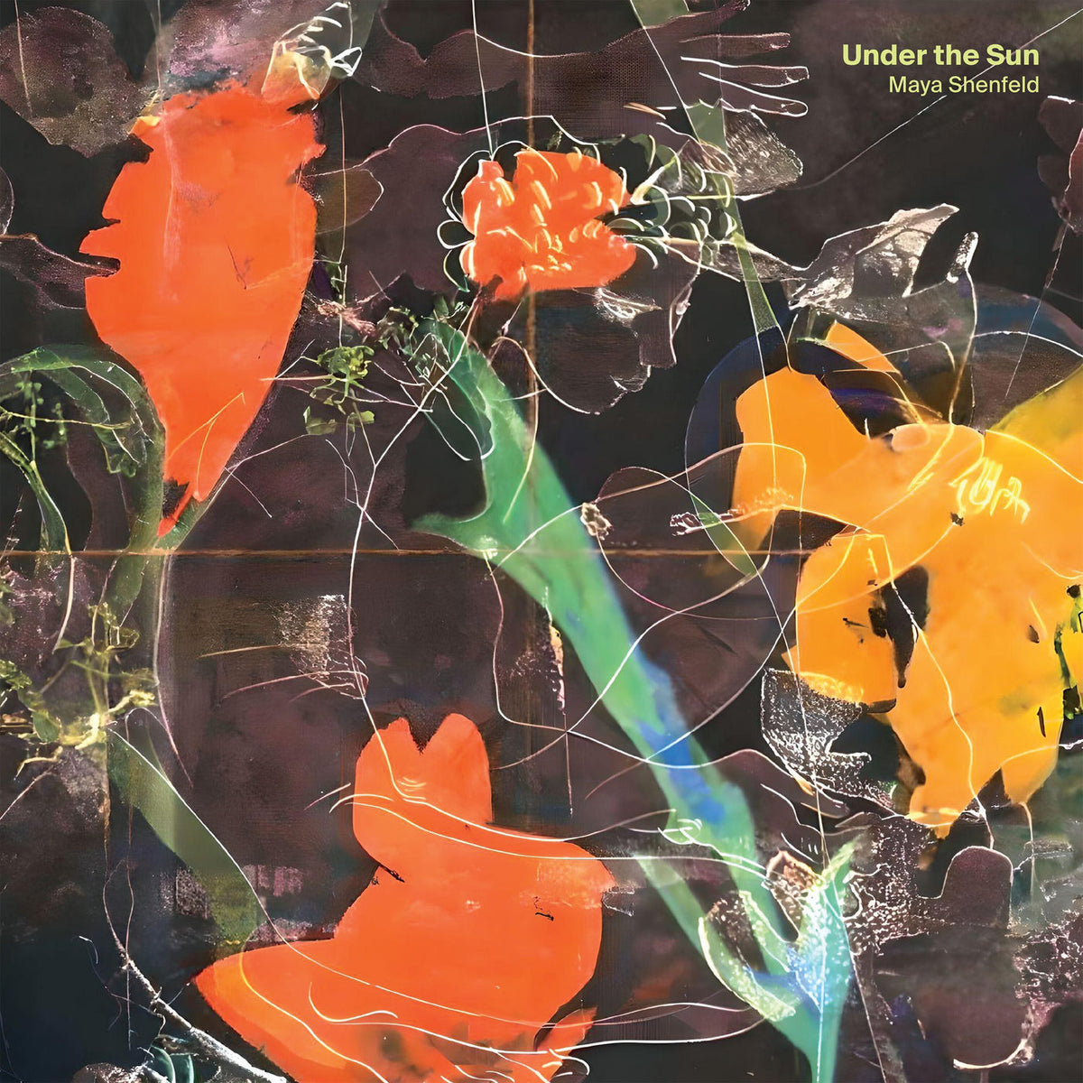 Maya Shenfeld – Under the Sun vinyl cover