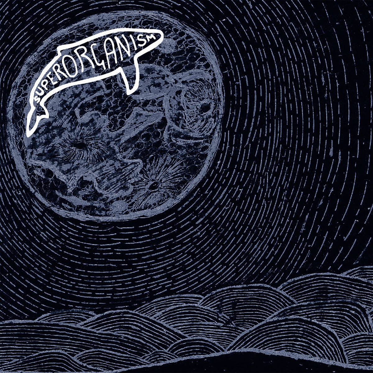 Superorganism – Superorganism vinyl record cover