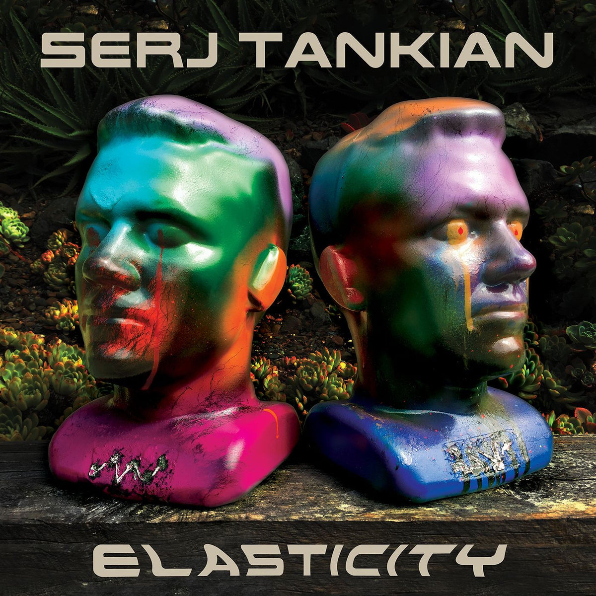 Serj Tankian – Elasticity vinyl record cover