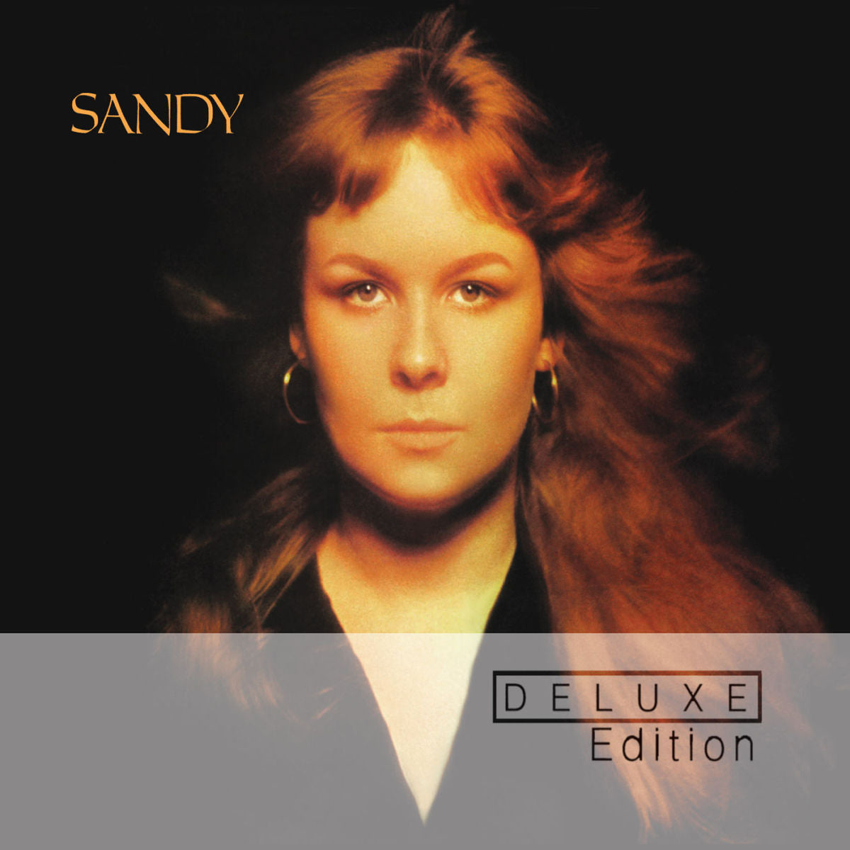 Sandy Denny – Sandy vinyl record cover