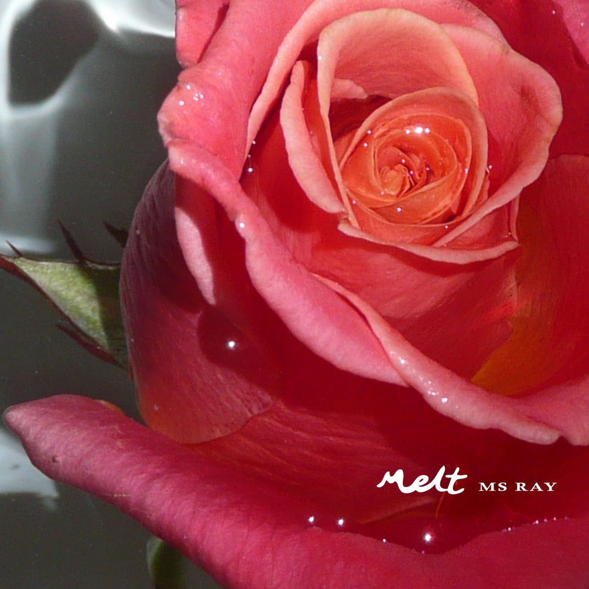 Ms Ray – Melt vinyl cover