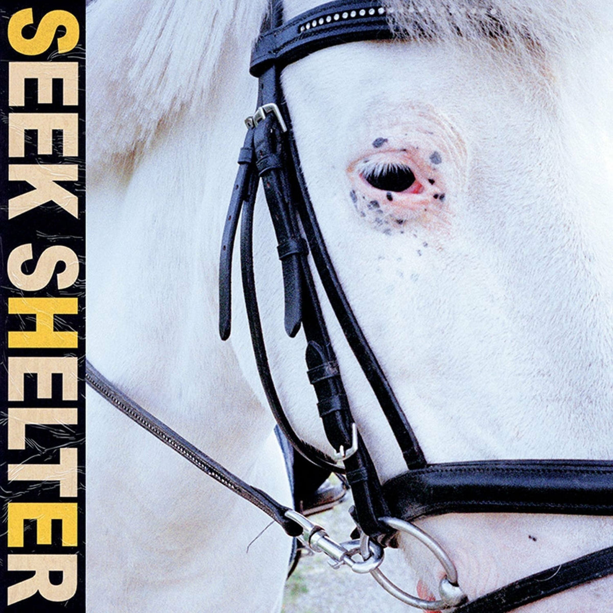 Iceage – Seek Shelter (Translucent Orange Vinyl) vinyl record cover
