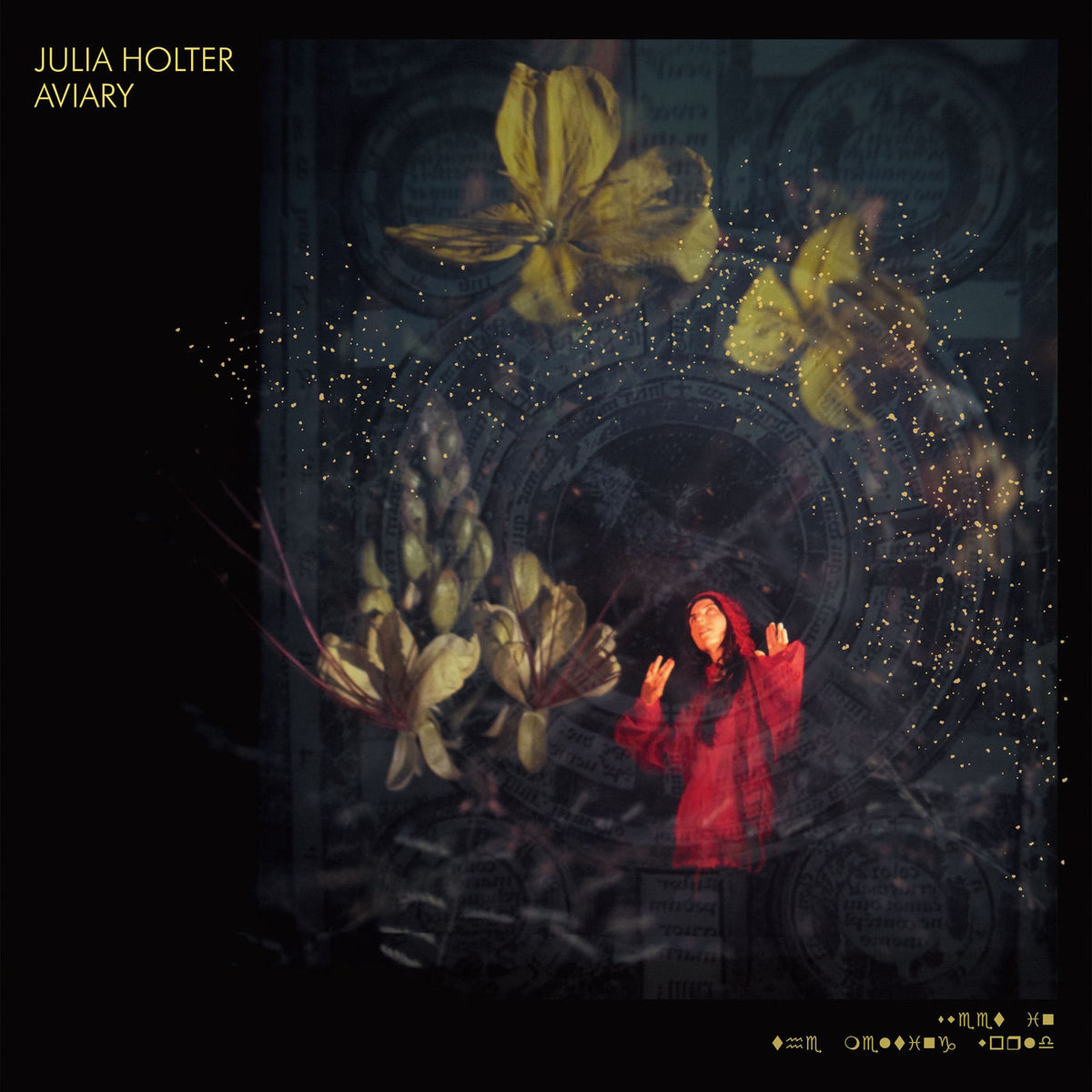 Julia Holter – Aviary vinyl record cover