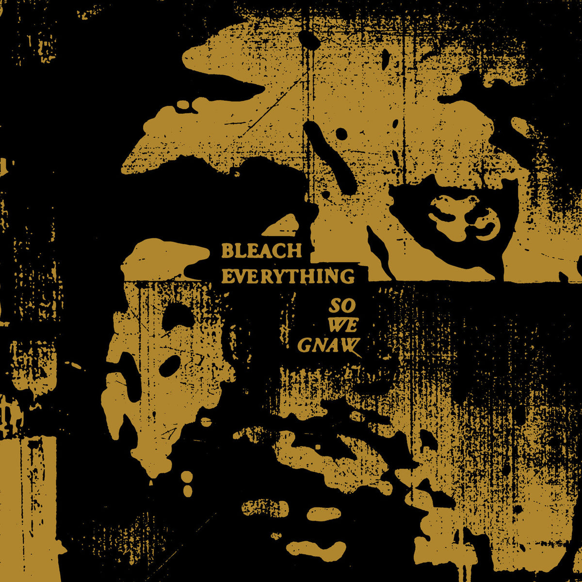 Bleach Everything – So We Gnaw vinyl record cover