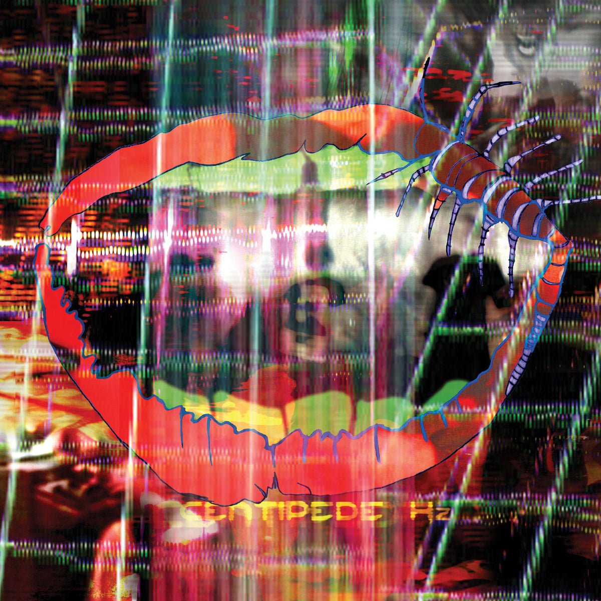 Animal Collective – Centipede Hz vinyl record cover