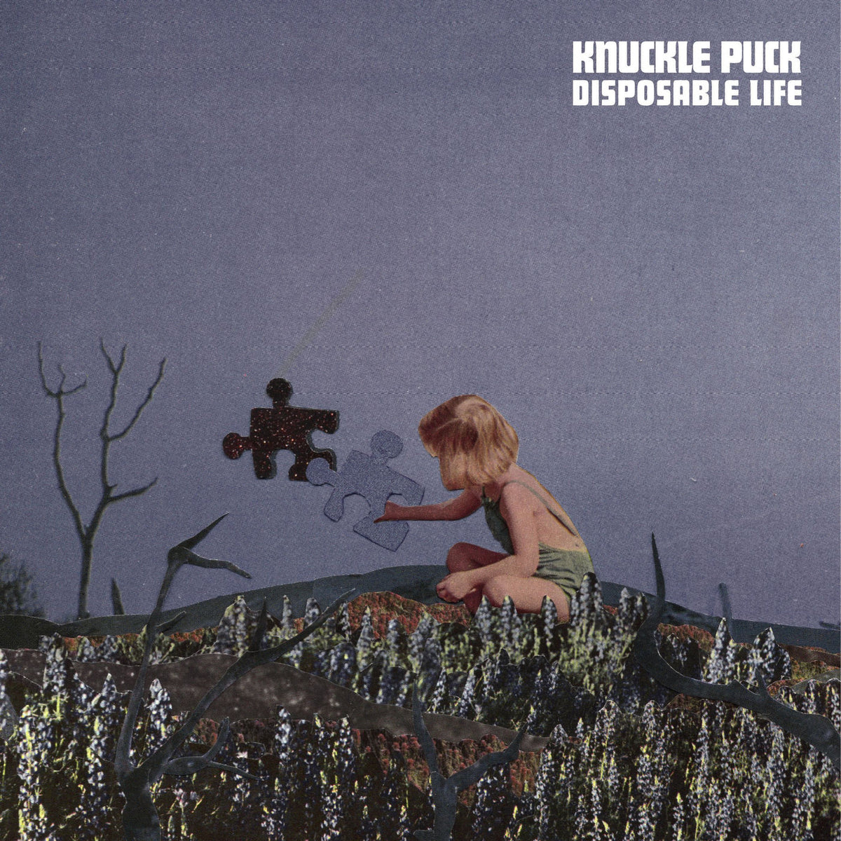 Knuckle Puck – Disposable Life vinyl cover