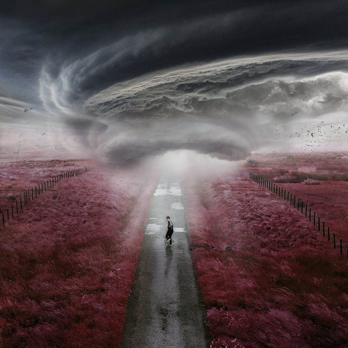 Dylan Fraser – The Storm vinyl cover