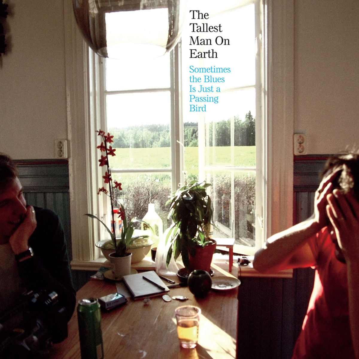 The Tallest Man on Earth – Sometimes The Blues Is Just A Passing Bird vinyl cover