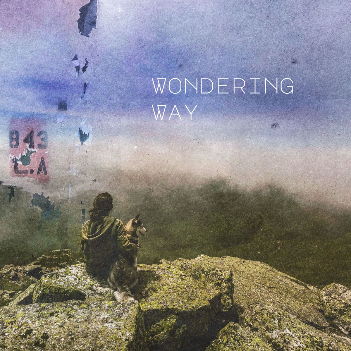 Various Artists – Wondering vinyl record cover