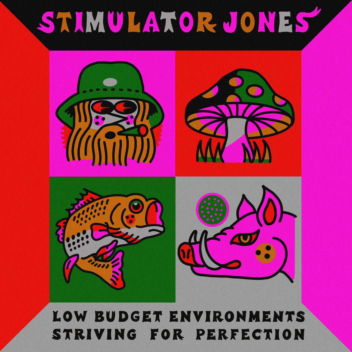Stimulator Jones – Low Budget Environments Striving For Perfection vinyl record cover