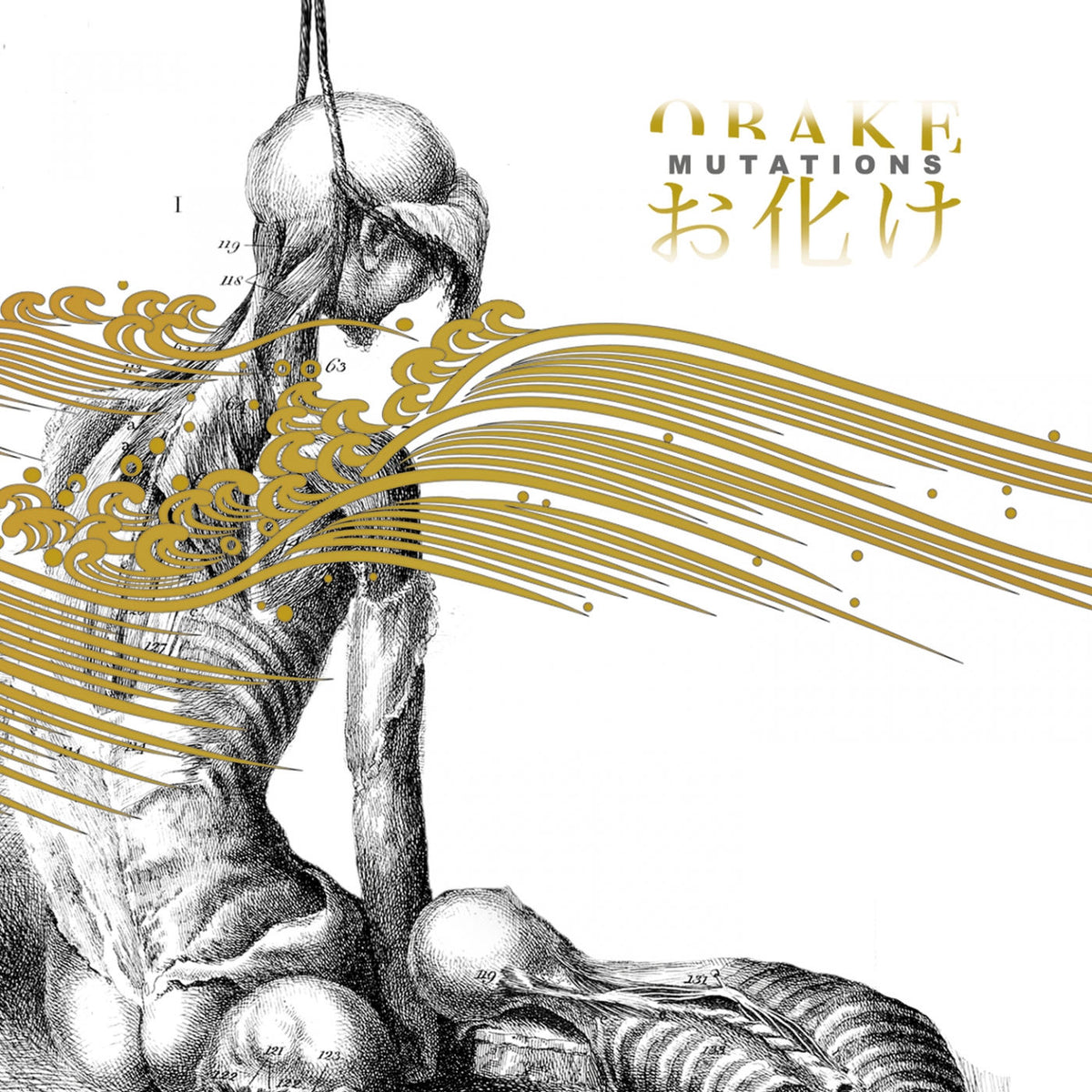 Obake – Mutations vinyl record cover