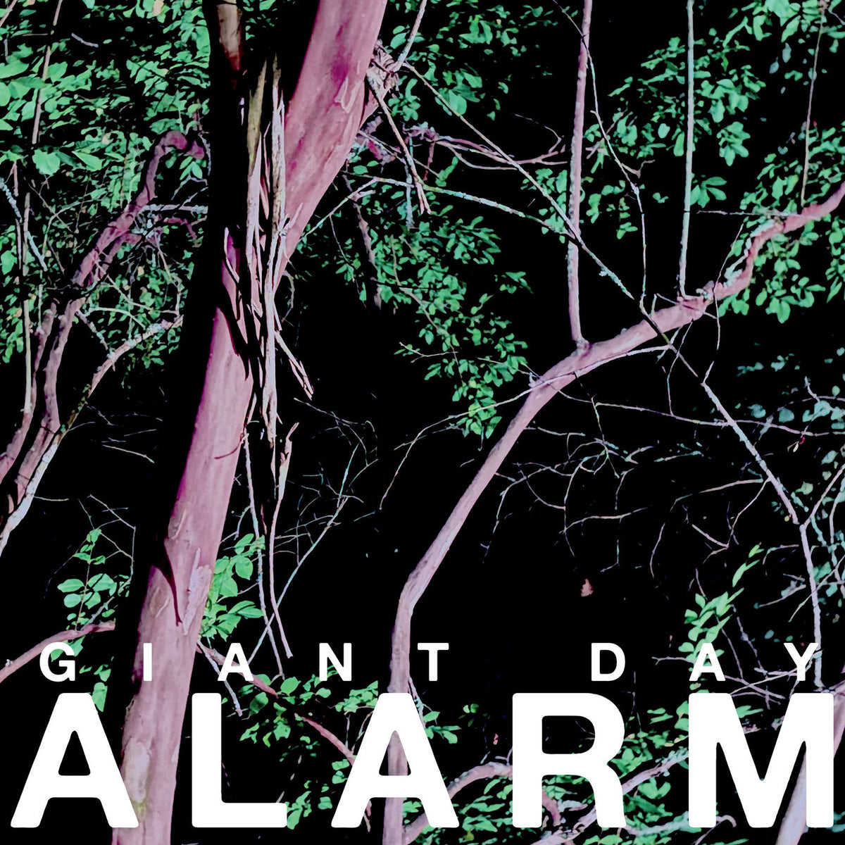 Giant Day – Alarm vinyl record cover