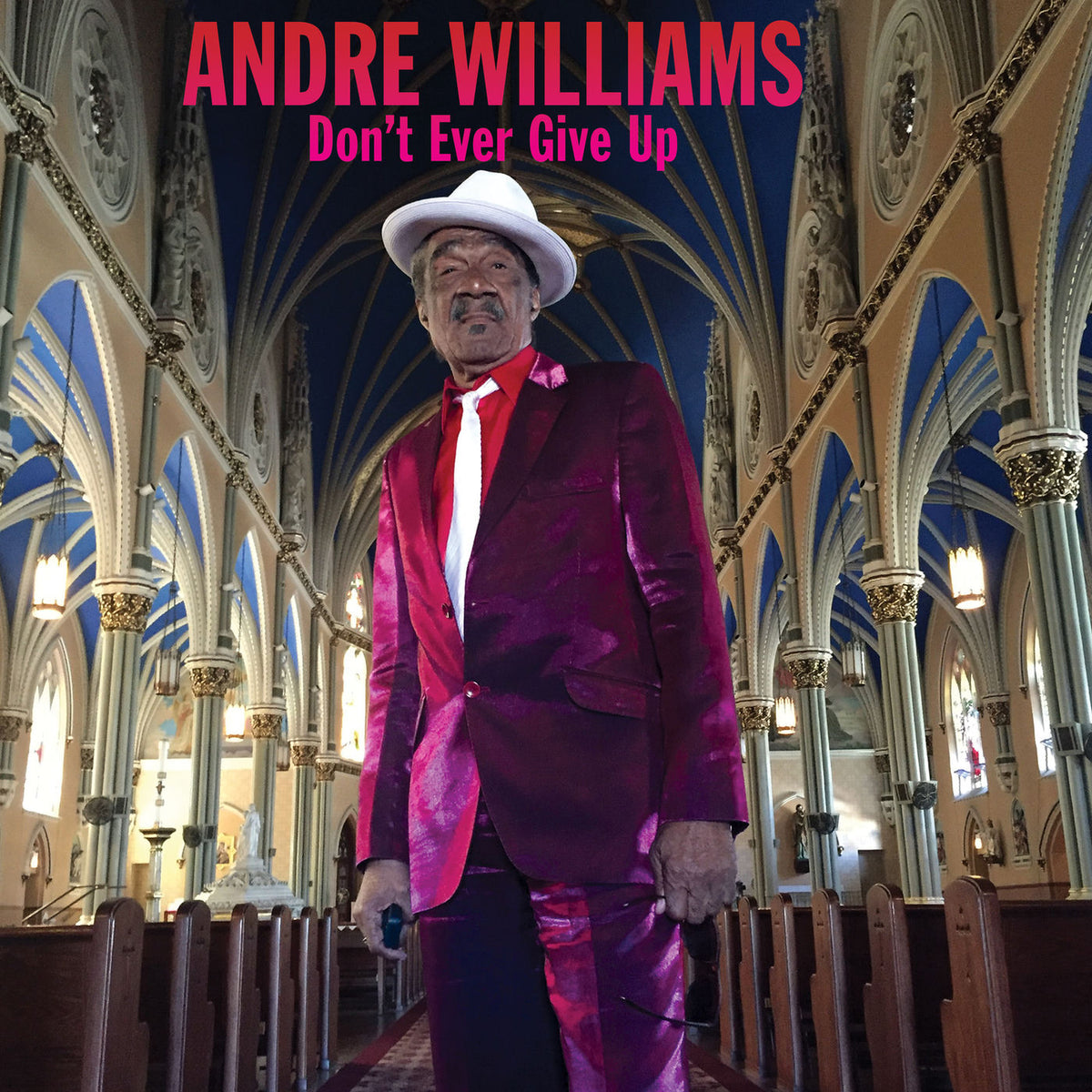 Andre Williams – Don't Ever Give Up vinyl record cover