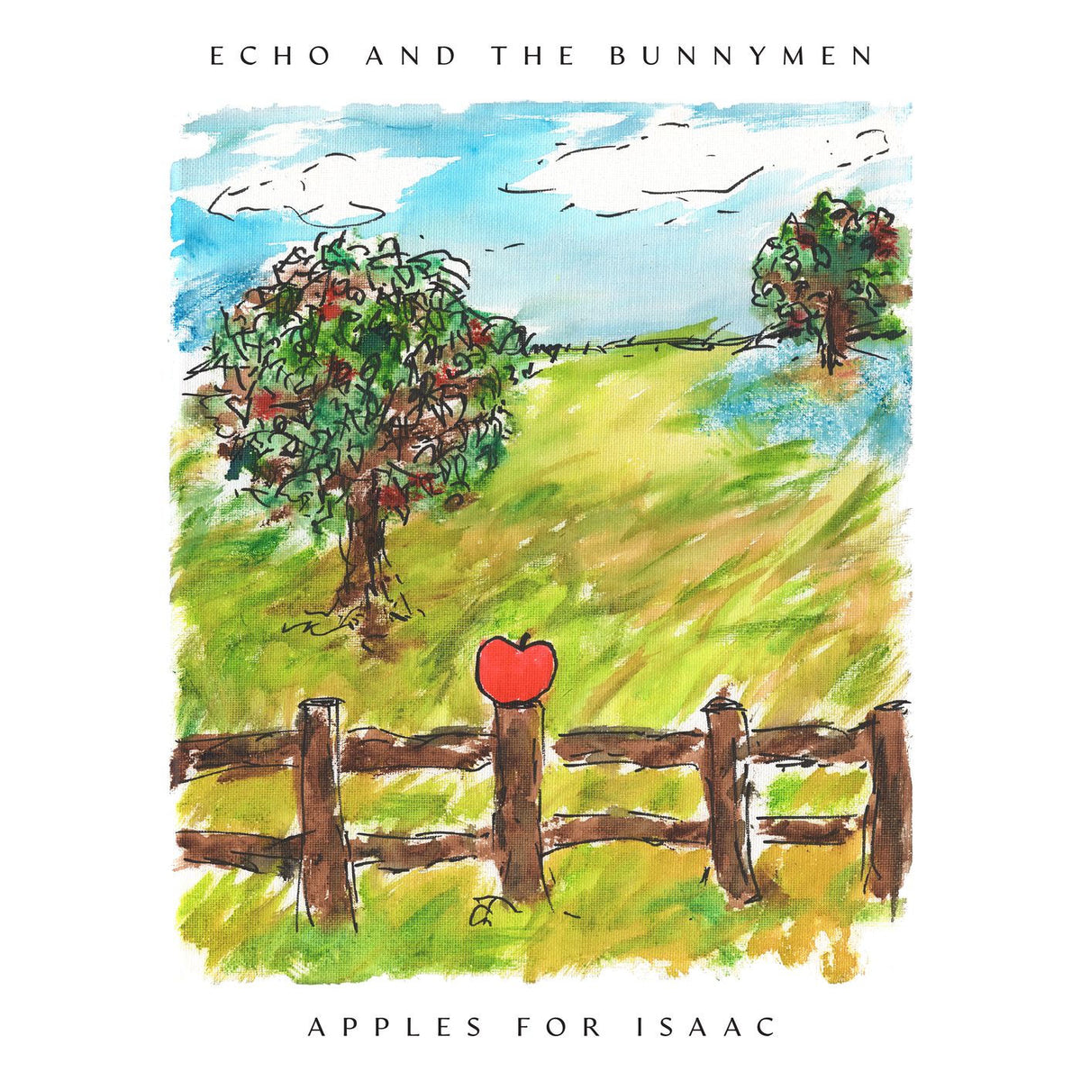 Echo & the Bunnymen – Apples for Isaac vinyl record cover