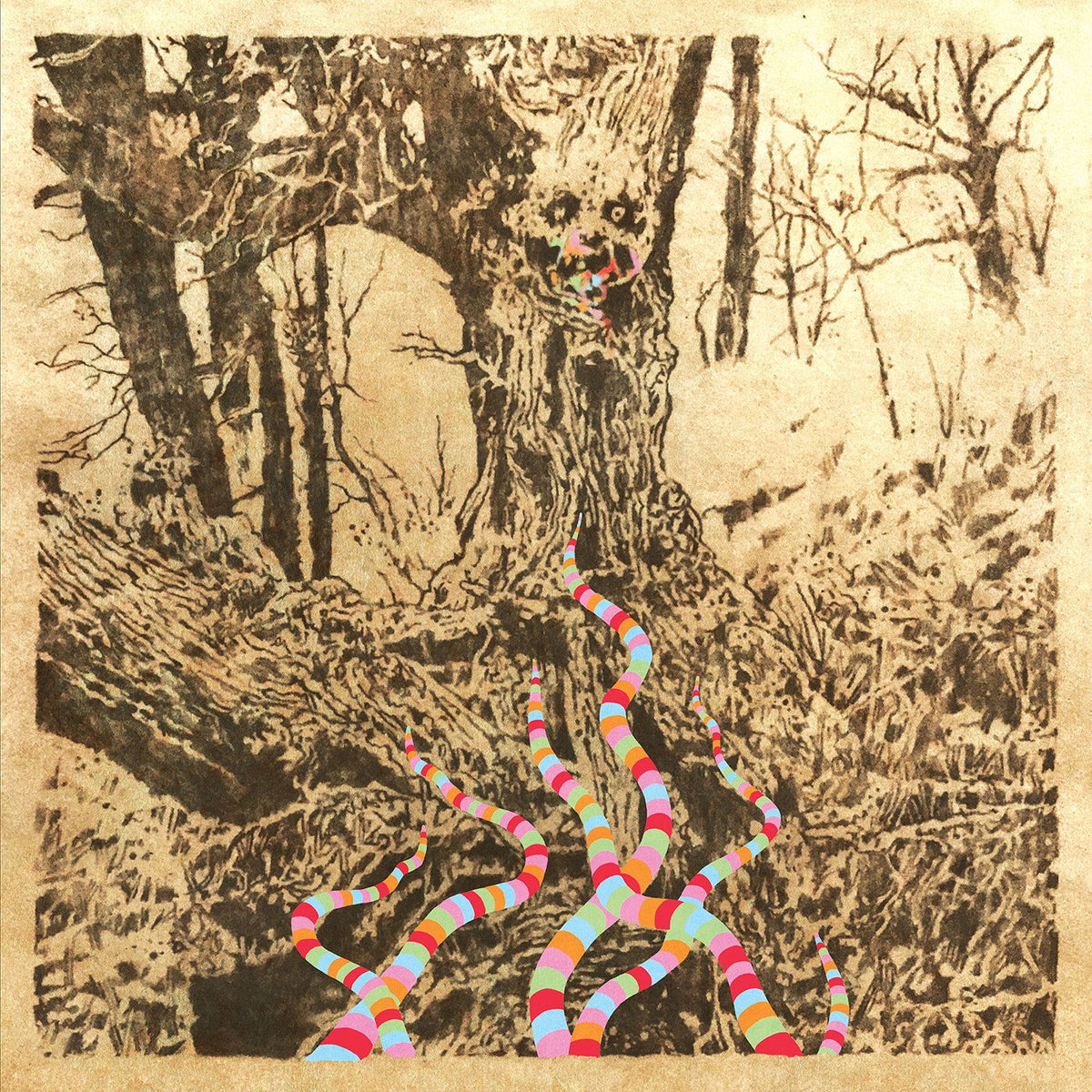 Regal Worm – Worm! vinyl record cover